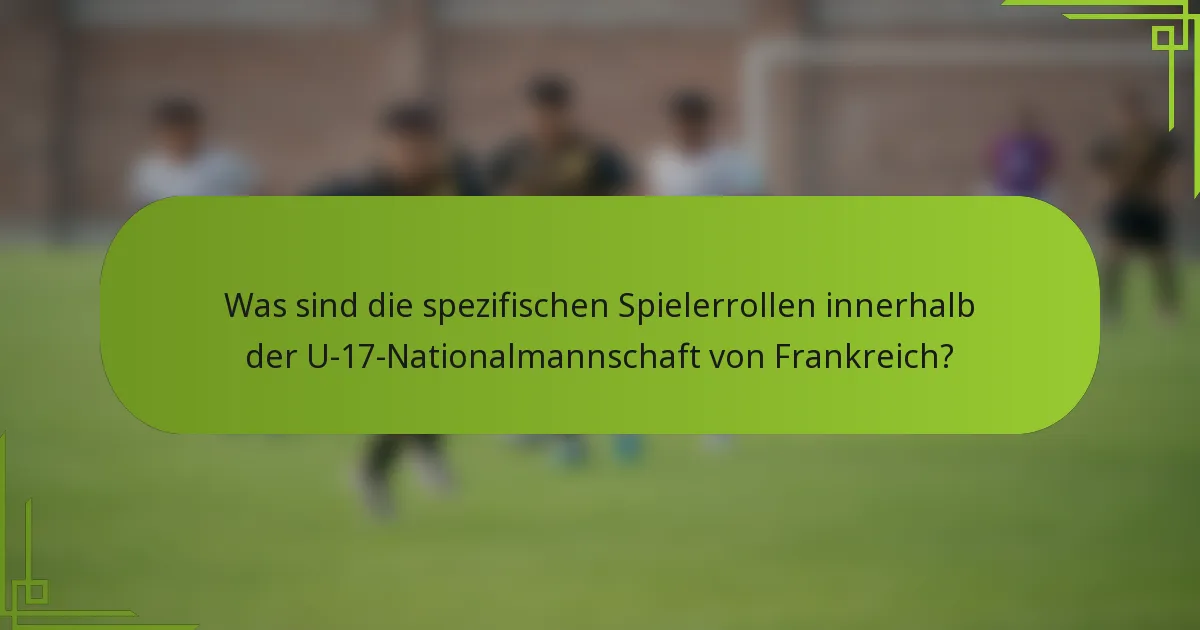 Was sind die spezifischen Spielerrollen innerhalb der U-17-Nationalmannschaft von Frankreich?